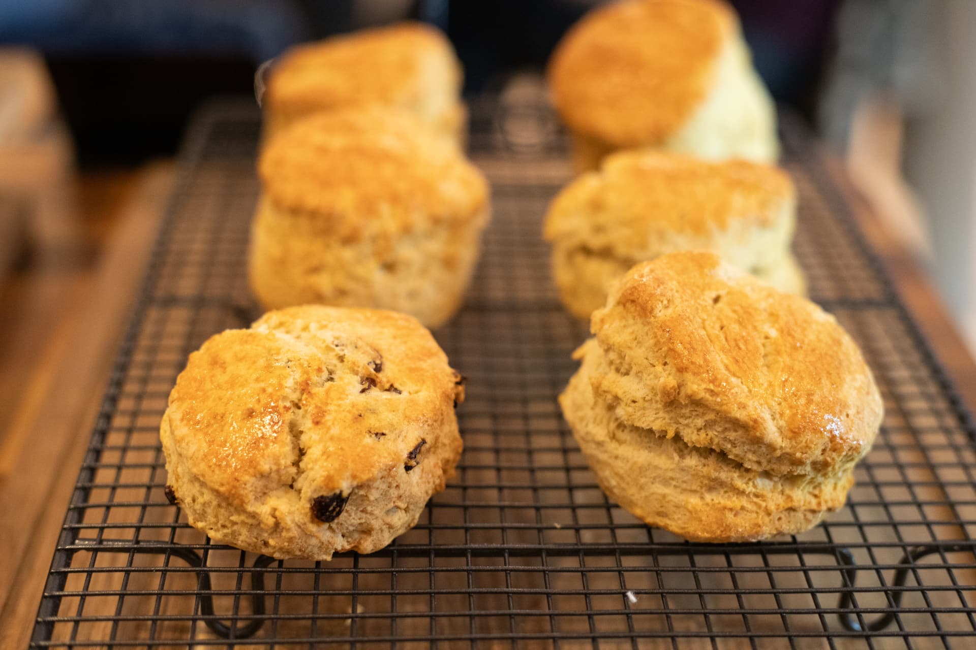 Freshly baked scones cooling on a wire rack